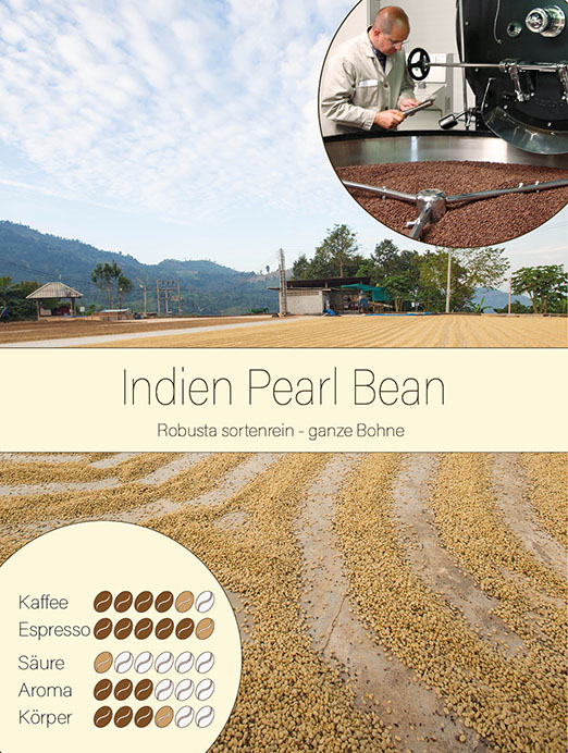 Indien Parchment Peral Bean - Robusta sortenrein